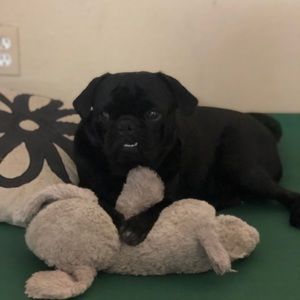 Meet your Posher, Brian